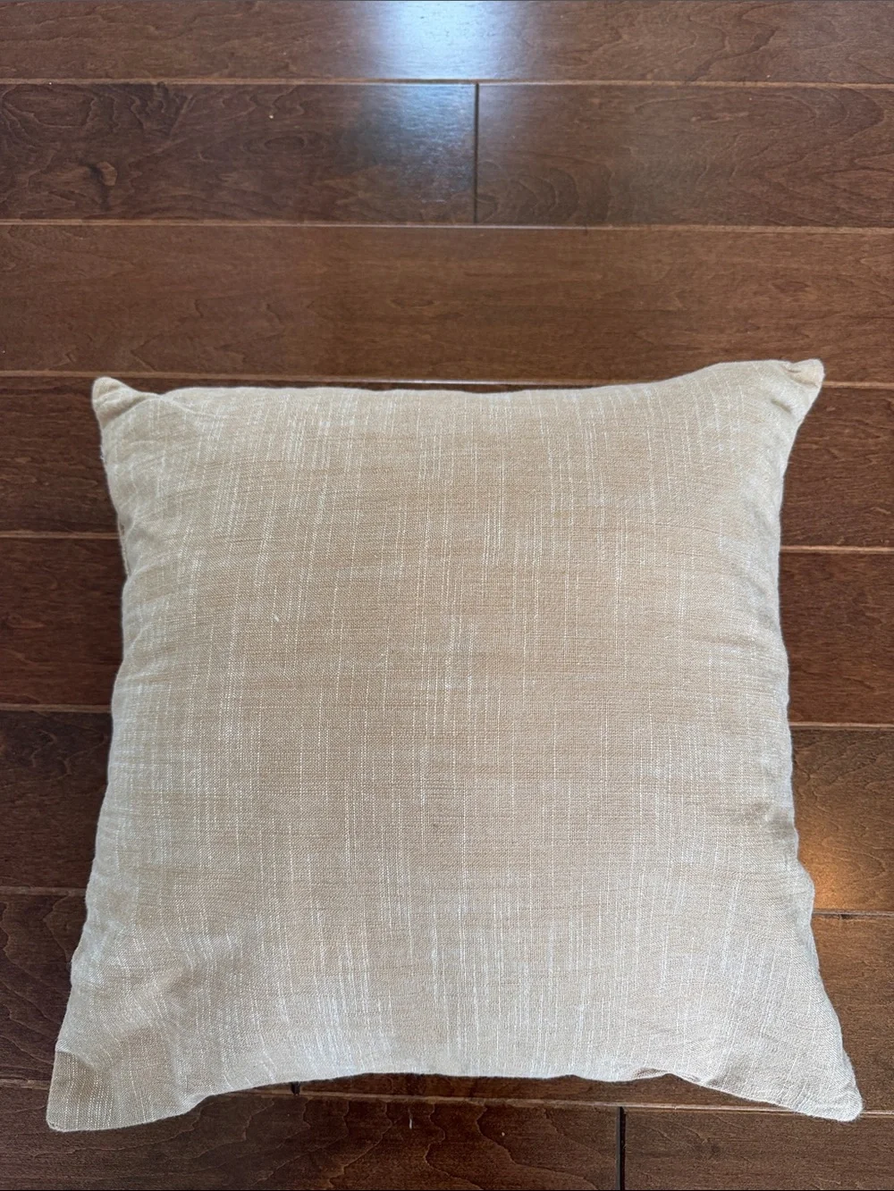 Neutral Tan Embroidered Vine Throw Pillow - Home Accents